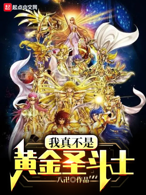 ���治�ǻƽ�ʥ��ʿ