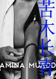 ��ľ���ࣨŮB��A��