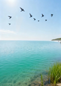 ��ȥ���⣨GB��