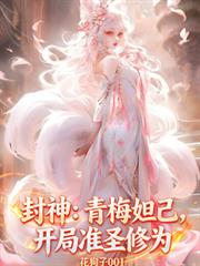 ������÷槼�������׼ʥ��Ϊ