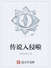 ��˵������