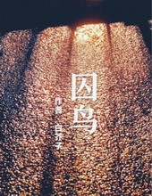 ����[����]