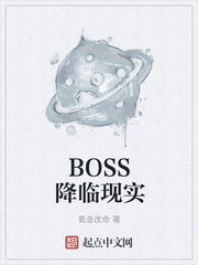 BOSSʵ