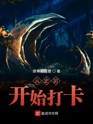 ��ʷǰ��ʼ��